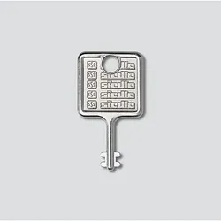 Siedle Schlüssel f. Montagerahmen Edelstahl gebürstet MR 511/512513/514524