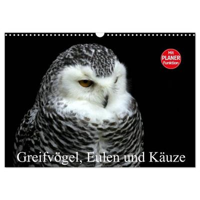 Greifvögel, Eulen und Käuze (Wandkalender 2027 DIN A3 quer), CALVENDO Monatskalender