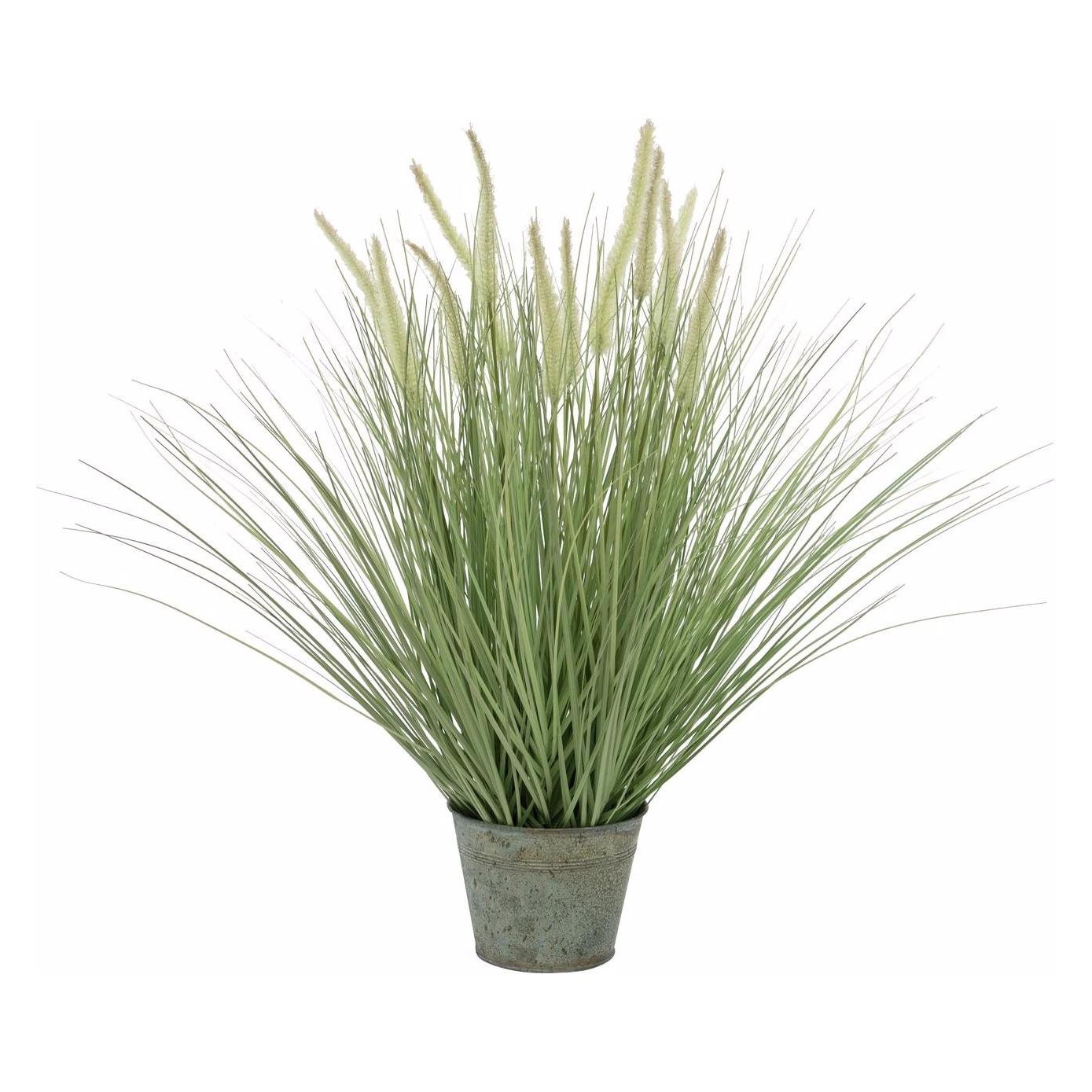 Europalms Ziergras (70 cm) (82600147)