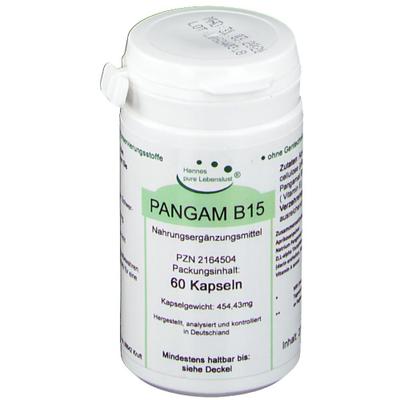 Pangam Vitamin B15 Kapseln 60 St