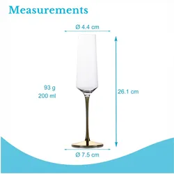 Intirilife Champagner Sekt Glas 200 ml, Weingläser, Transparent