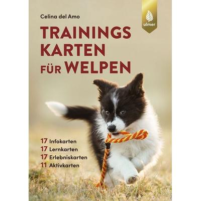 Trainingskarten für Welpen, Taschenbuch von Celina del Amo, Verlag Eugen Ulmer, 978-3-8186-1313-6