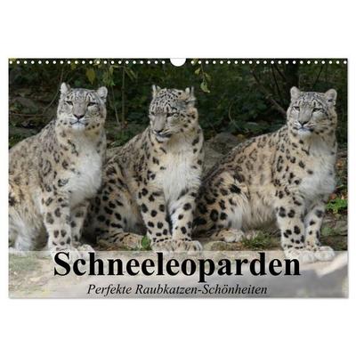 Schneeleoparden. Perfekte Raubkatzen-Schönheiten (Wandkalender 2026 DIN A3 quer), CALVENDO Monatskalender