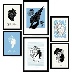 POSTER Set Mit 6 In Schwarzer Tinte Meeresschnecken A3 & A4 Rahmenlos