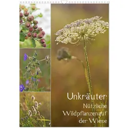 Calvendo, Kalender, Unkräuter - Nützliche Wildpflanzen auf der Wiese (Wandkalender 2026 DIN A3 hoch), Mona (A3)