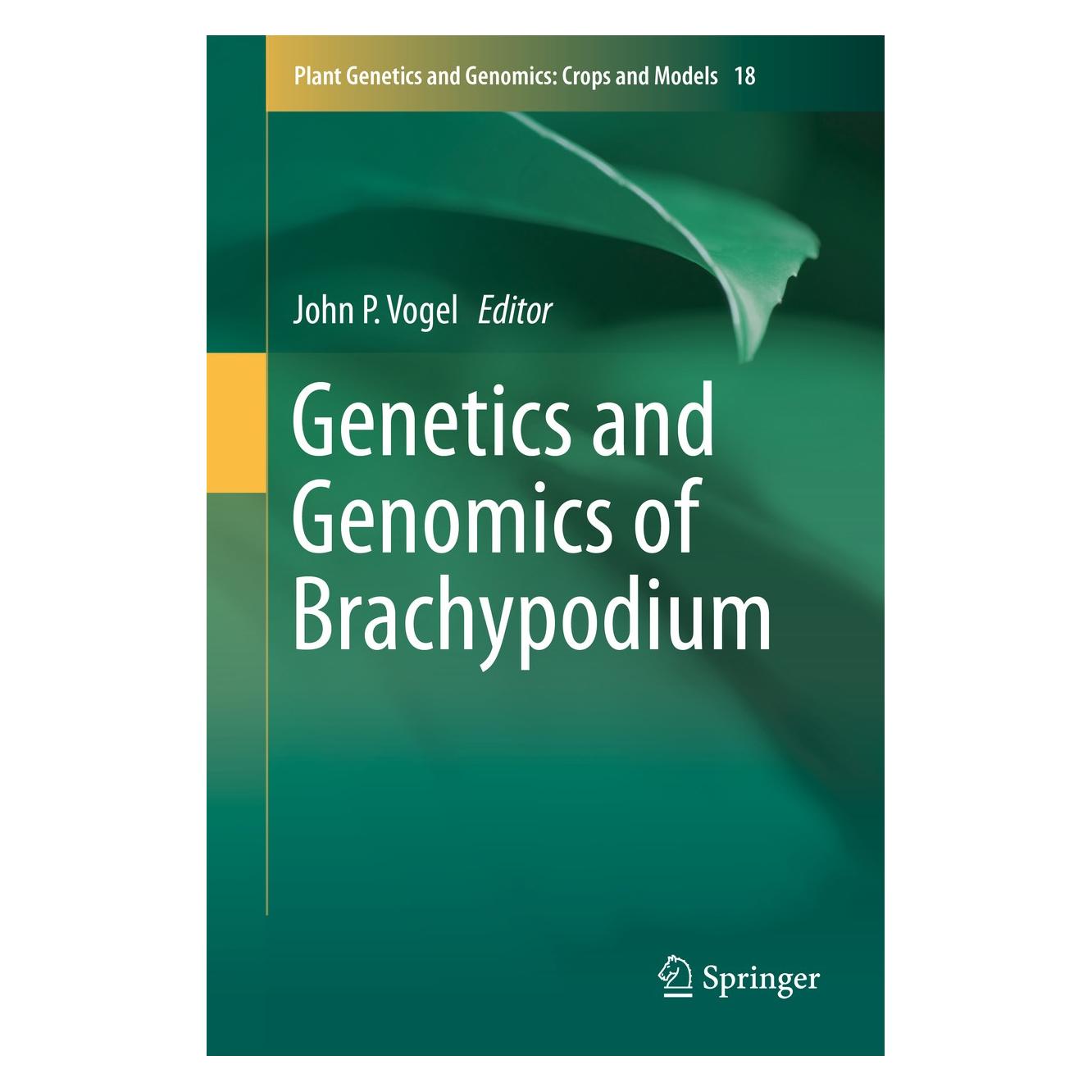 Springer Genetics and Genomics of Brachypodium (Englisch, Hardcover, John P. Vogel) (9783319269429)
