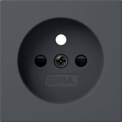 GIRA Abdeckung 494528 1 St.