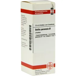 Bellis Perennis Urt 20 ML