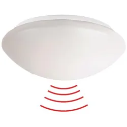 BEG 94445 HF-Radarmelder Rundleuchte L8 360° Decken- und Wandmo. weiß IP40 16m HF-L8 weiß