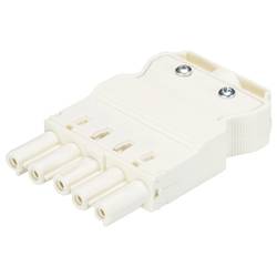 Wieland Electric 92.953.4057.0 Steckverbinder