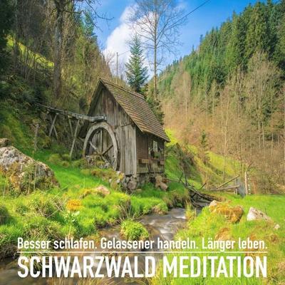 DIE SCHWARZWALD MEDITATION: Spüre dich wieder und erlebe einzigartige Momente der Ruhe - Patrick Lynen, Audio, 4057664388346
