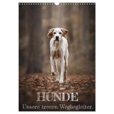 Hunde - Unsere treuen Wegbegleiter. (Wandkalender 2027 DIN A3 hoch), CALVENDO Monatskalender
