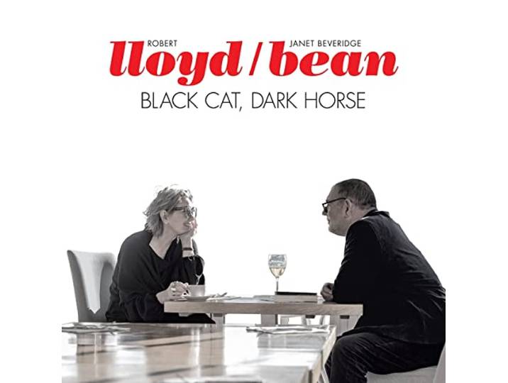 Black Cat, Dark Horse