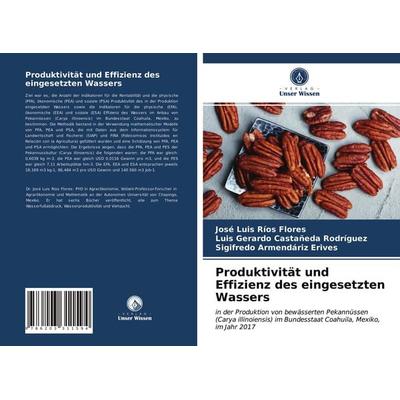 Produktivität und Effizienz des eingesetzten Wassers, Taschenbuch von José Luis Ríos Flores,Luis Gerardo Castañeda Rodríguez,Sigifredo Armendáriz
