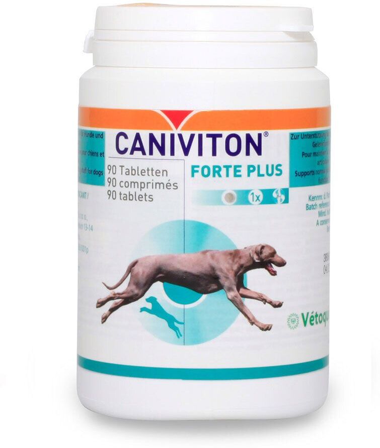 Caniviton Forte Plus Erg.Futterm.Tbl.f.Hund/Katze 90 St Tabletten