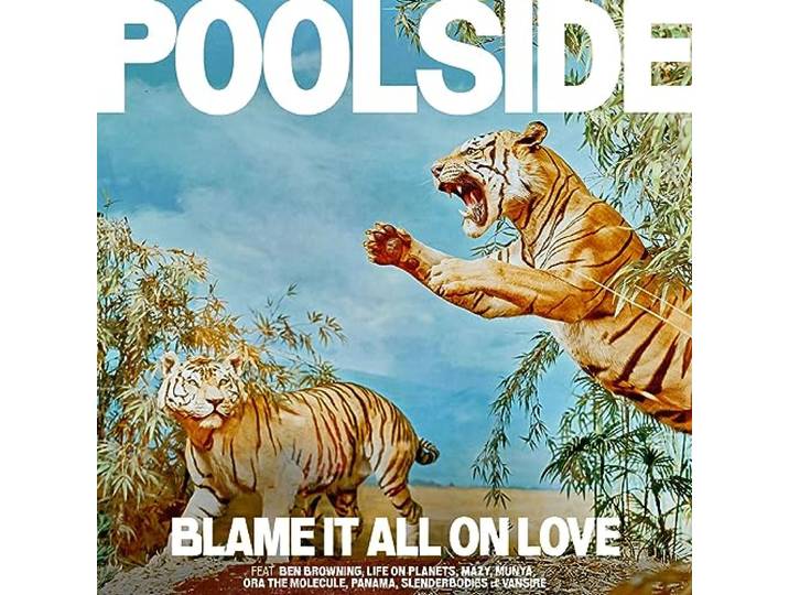 Blame It All On Love