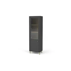 Vitrine   ¦ schwarz ¦ Maße (cm): B: 60 H: 194
