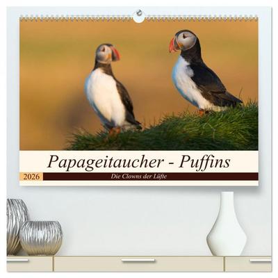 Papageitaucher - Puffins (hochwertiger Premium Wandkalender 2026 DIN A2 quer), Kunstdruck in Hochglanz