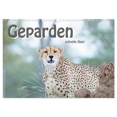 Geparden - schnelle Jäger (Wandkalender 2027 DIN A3 quer), CALVENDO Monatskalender