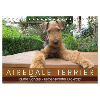Airedale Terrier (Tischkalender 2027 DIN A5 quer), CALVENDO Monatskalender