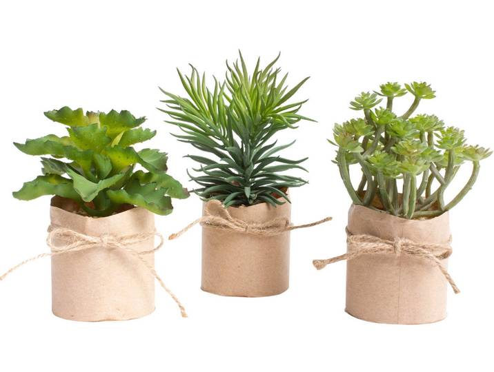 Kunstkaktus BOTANIC-HAUS Sukkulentensortiment , grün, B:12cm H:19cm T:12cm Ø:12cm, Kunststoff, Kunstpflanzen, Kunstkaktus