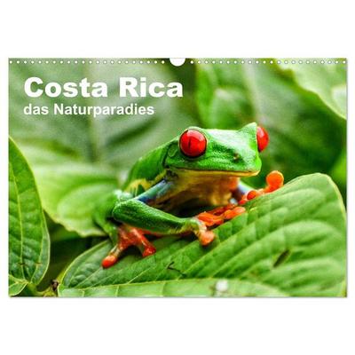 Costa Rica - das Naturparadies (Wandkalender 2026 DIN A3 quer), CALVENDO Monatskalender
