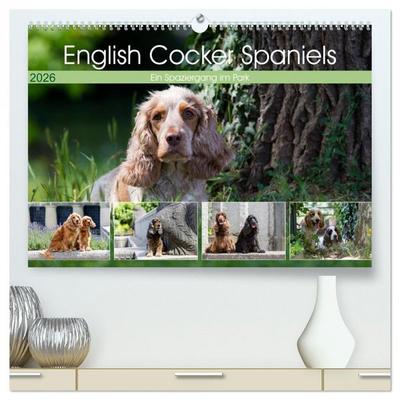 English Cocker Spaniels - Ein Spaziergang im Park (hochwertiger Premium Wandkalender 2026 DIN A2 quer), Kunstdruck in Hochglanz