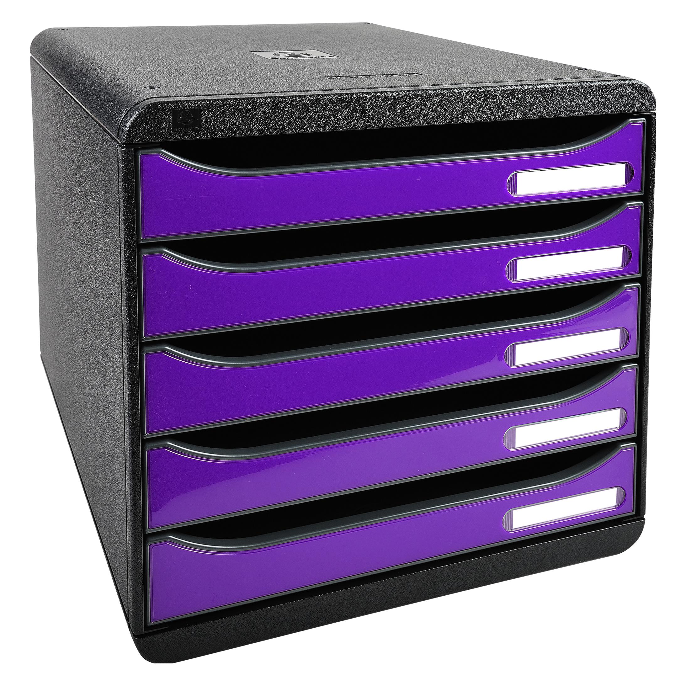 Exacompta Big Box Plus (A4+) (3097220D)