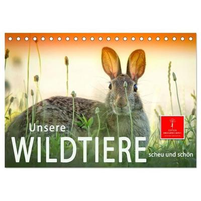 Unsere Wildtiere - scheu und schön (Tischkalender 2027 DIN A5 quer), CALVENDO Monatskalender