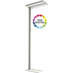 Dotlux LED-Stehleuchte 5227-155075