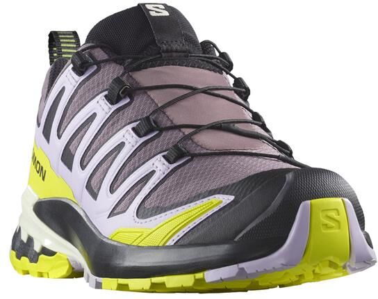 Salomon XA Pro 3D V9 GTX Womens, Moonscape / Orchid Petal 39