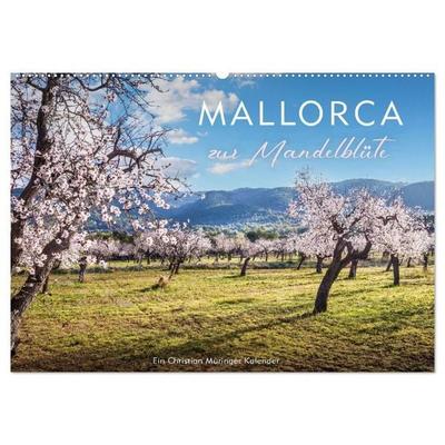 Mallorca zur Mandelblüte (Wandkalender 2027 DIN A2 quer), CALVENDO Monatskalender
