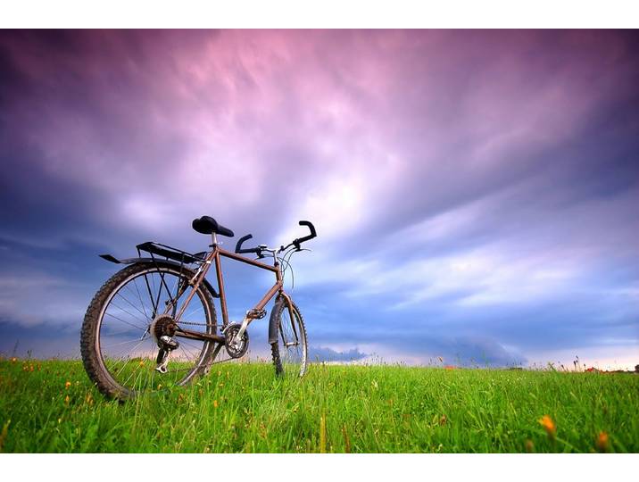 Papermoon Fahrrad in Grünland