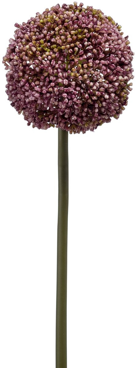 Emerald Kunstbloem Allium paars 75cm - Kunstplant voor binnen