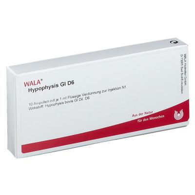 Hypophysis GL D 6 Ampullen 10x1 ml