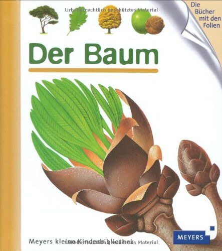Bourgoing, Pascale de - Der Baum - Preis vom 19.10.2026 19:33:35 h