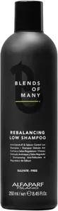 Alfaparf Blends Of Many Rebalancing (Flüssiges Shampoo, 250 ml) (PF018567)