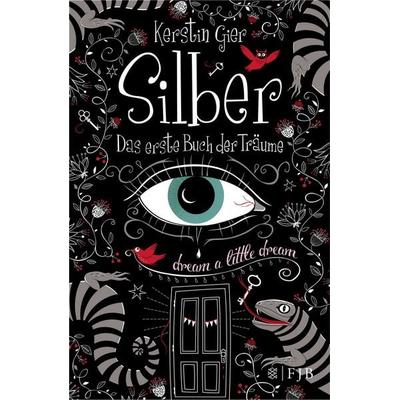 Silber - Das erste Buch der Träume, Gebundene Ausgabe von Kerstin Gier, Fischer Fjb