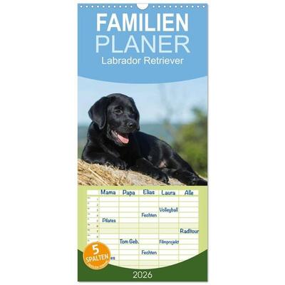 Familienplaner 2026 - Labrador Retriever 2026 mit 5 Spalten (Wandkalender, 21 x 45 cm) CALVENDO