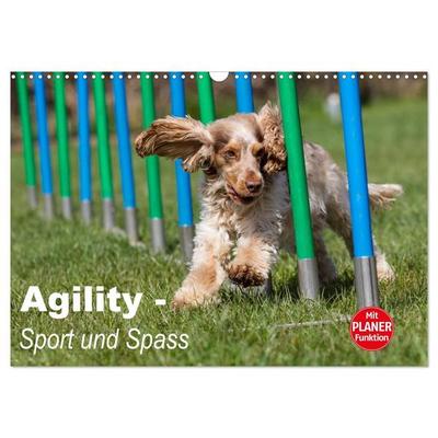 Agility - Sport und Spass (Wandkalender 2027 DIN A3 quer), CALVENDO Monatskalender