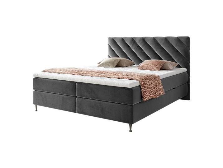 BOXBETT Enzo - H3