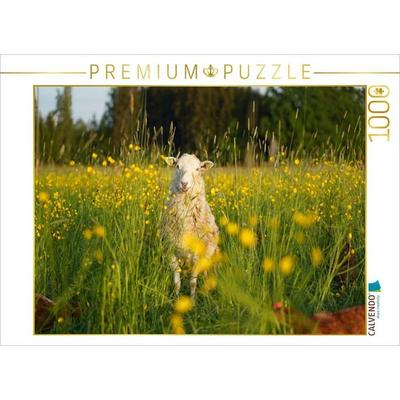 CALVENDO Puzzle Schaf | 1000 Teile Lege-Größe 64x48cm Foto-Puzzle für glückliche Stunden, Sonstige von , Calvendo Puzzle