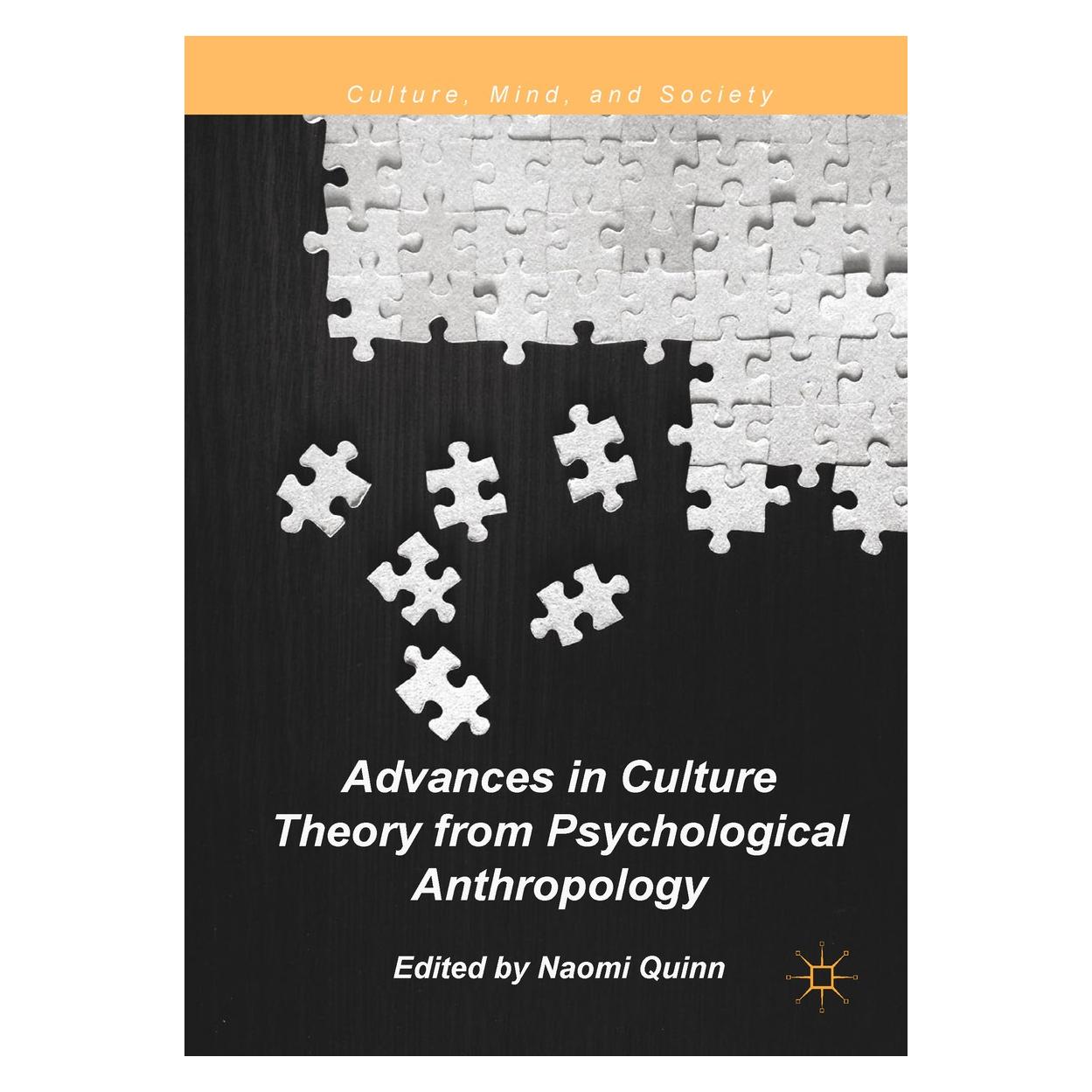 Springer Advances in Culture Theory from Psychol (Englisch, Hardcover, Naomi Quinn) (9783319936734)