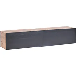 WANDMONTIERTER-TV-SCHRANK Schwarz/Braun Gladstone