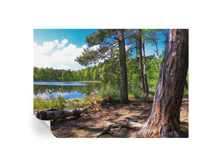 Wallfluent Fototapete 208x146 cm - Waldlandschaft, Grün, 208x146 cm, Tapeten & Wandverkleidungen, Fototapeten