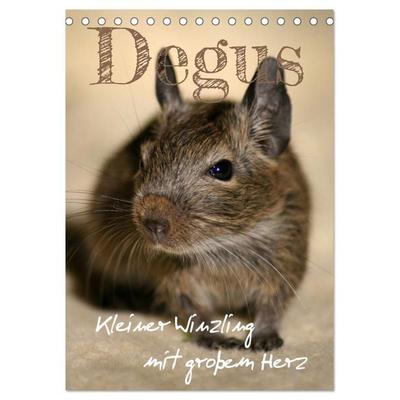 Degus - Winzlinge mit großem Herz (Tischkalender 2026 DIN A5 hoch), CALVENDO Monatskalender