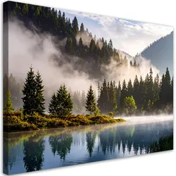BILDER, Wald im Nebel am See Landschaft