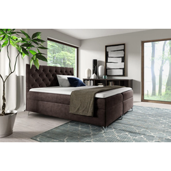 BOXBETT Ambre In Fresh