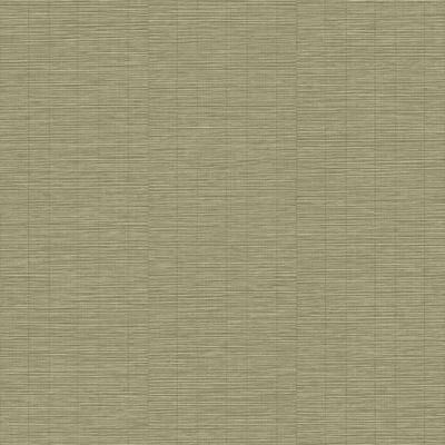 Galerie Wallcoverings Structured Walls Collection Bamboo Plain Matte Finish Vinyl on Non-Woven Wallpaper Roll