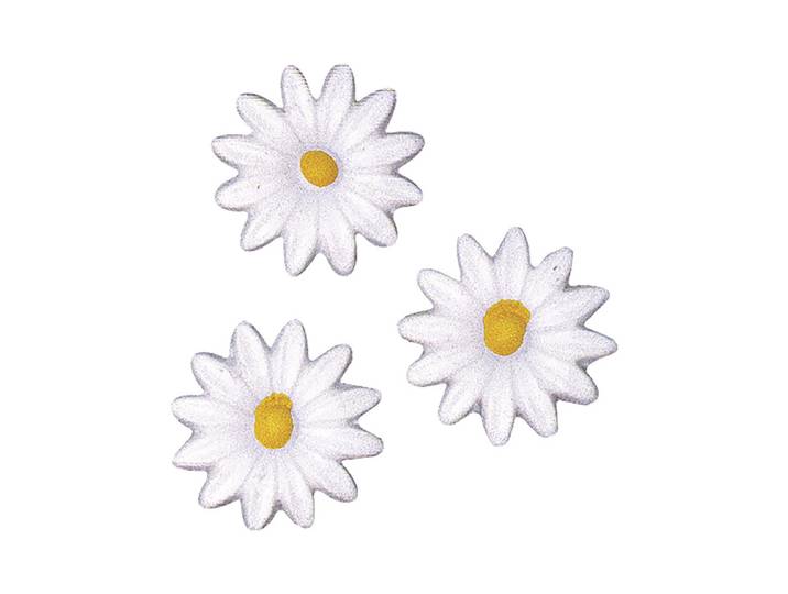 Rayher Wachsmotiv Margeriten 2.5 cm 6 Stück